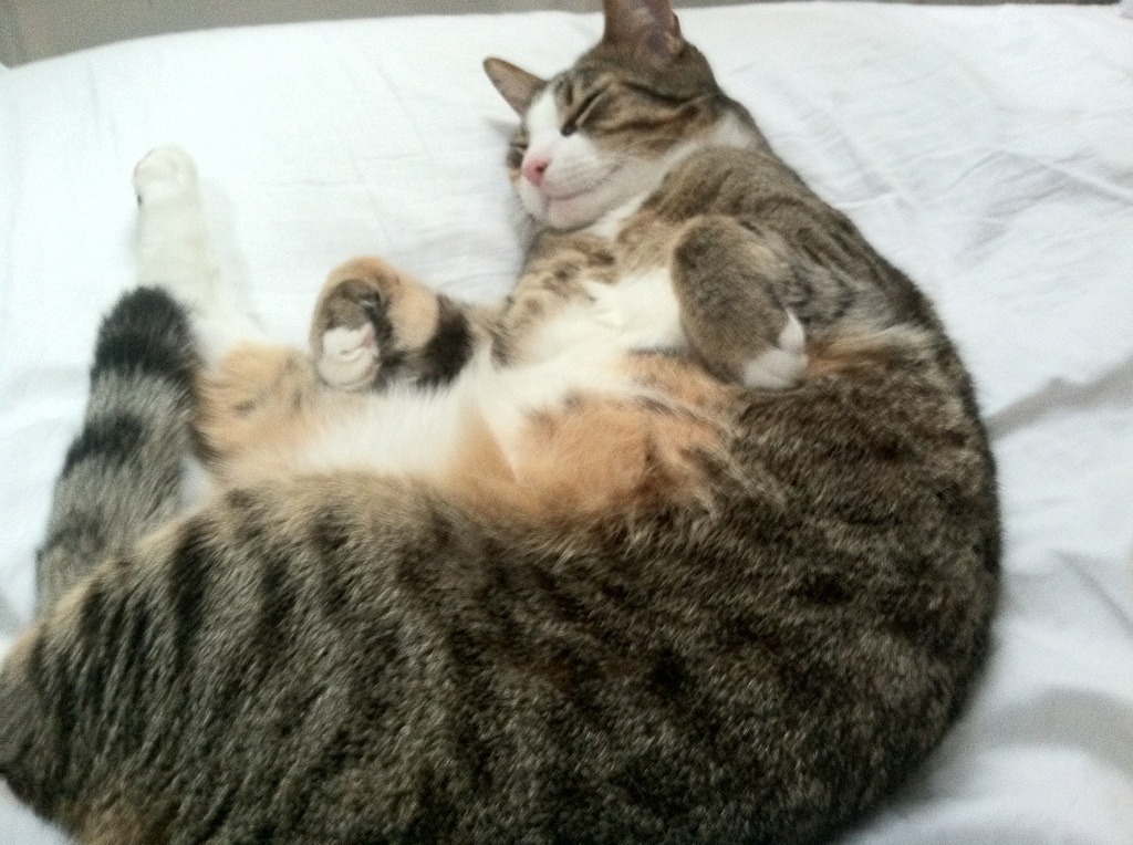 观众观赛体验区增设互动休闲空间，观众中心